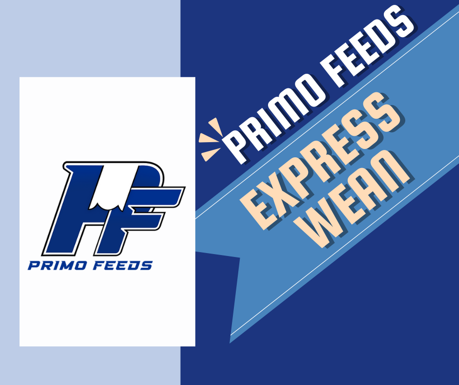 Primo Express Wean