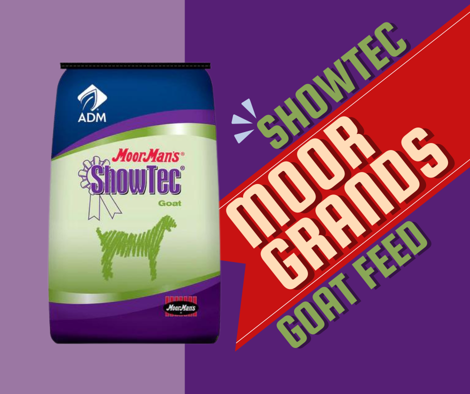 Showtec MoorGrands