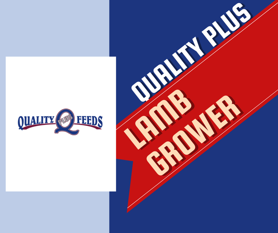 Quality Plus Lamb Grower