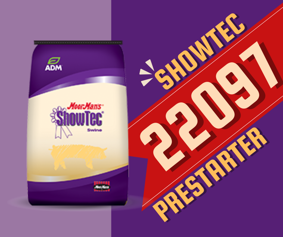 Showtec Prestarter 22097